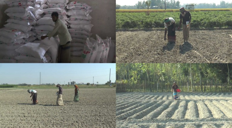 গাইবান্ধায় অতিরিক্ত দামে সার বিক্রির অভিযোগ, বিপাকে কৃষকরা