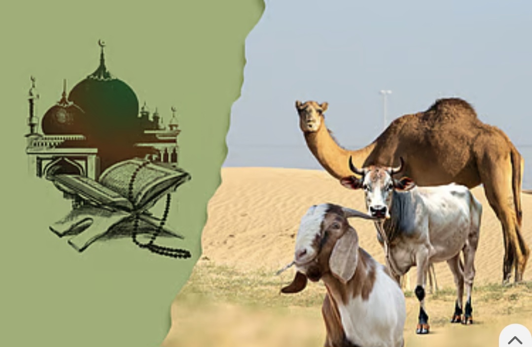 জিলহজের প্রথম ১০ দিন...