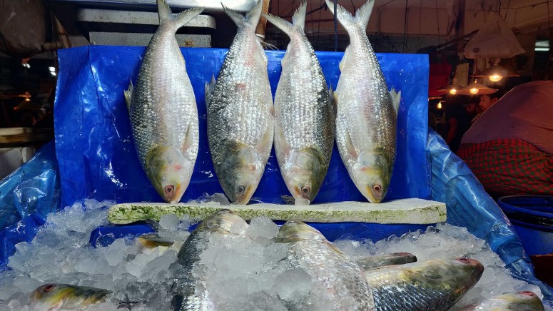 শর্তসাপেক্ষে ভারতে ১...