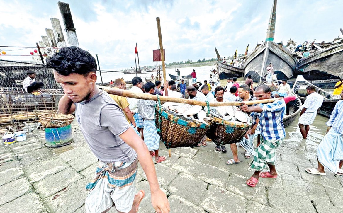 সাগরে ইলিশের আকাল, ট...